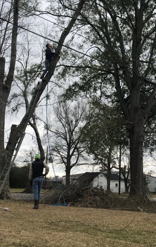 Professional garden landscaping experts serving Bladenboro, NC - Critical Tree and Property Solutions