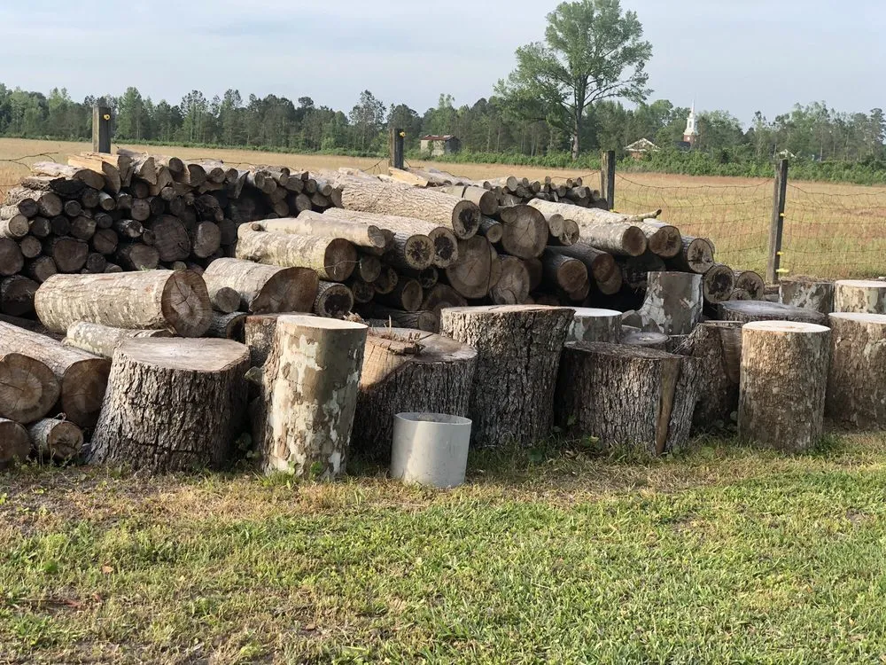 Affordable landscape installation for residential properties across Bladenboro, NC - Critical Tree and Property Solutions