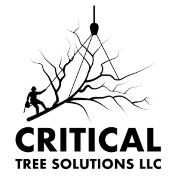 Local yard maintenance near you in Chester, CT by Critical Tree Solutions