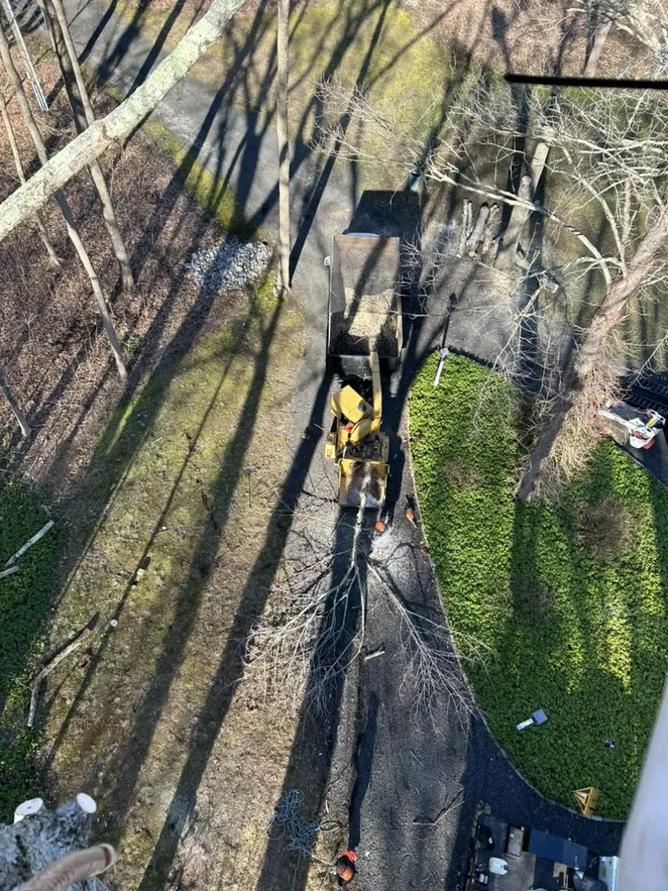 Professional residential landscaping near you in Chester, CT by Critical Tree Solutions