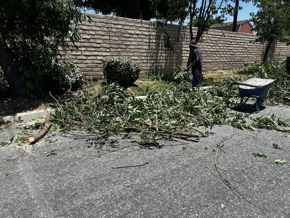 Local residential landscaping in Oxnard, CA - Critos Hauling Junk Removal