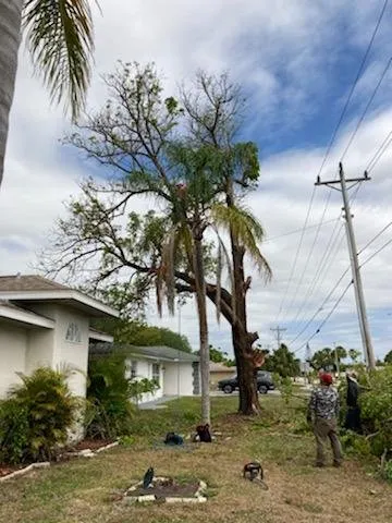 Custom residential landscaping in Punta Gorda, FL by Critters Tree Service