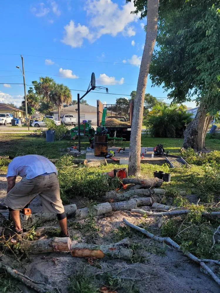 Expert yard cleanup service experts serving Punta Gorda, FL - Critters Tree Service