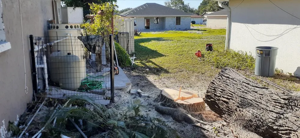 Local yard cleanup service experts serving Punta Gorda, FL - Critters Tree Service