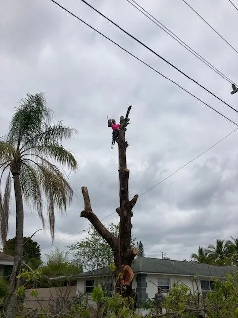 Expert garden landscaping in Punta Gorda, FL - Critters Tree Service