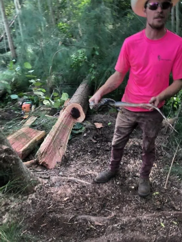 Affordable landscaping services in Punta Gorda, FL - Critters Tree Service