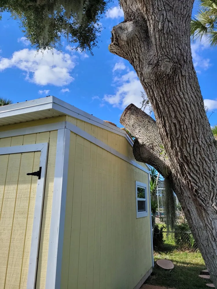 Trusted yard cleanup service for residential properties in Punta Gorda, FL by Critters Tree Service