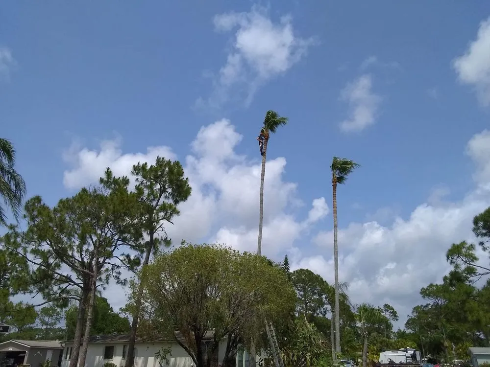 Reliable landscape installation for year-round maintenance across Punta Gorda, FL - Critters Tree Service