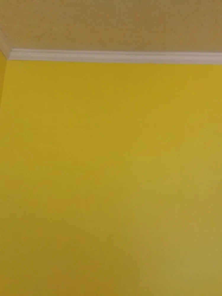 Professional landscaping services in Gadsden, AL by Crj Painting Service