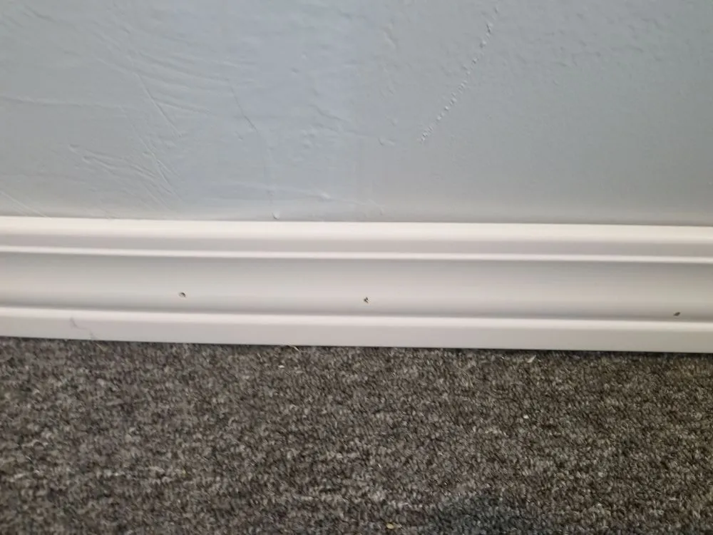 Expert outdoor landscaping experts serving Gadsden, AL - Crj Painting Service