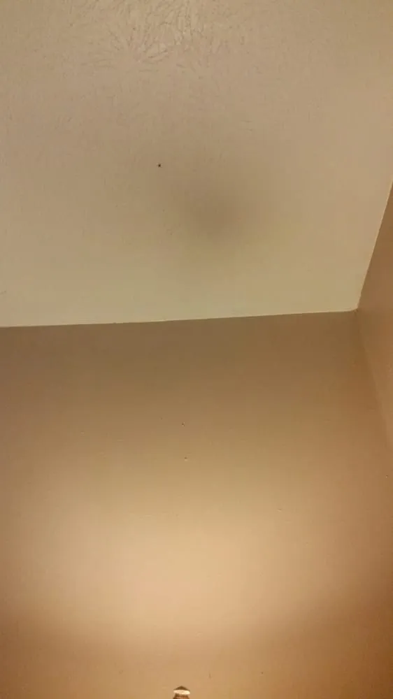 Custom residential landscaping near you across Gadsden, AL - Crj Painting Service