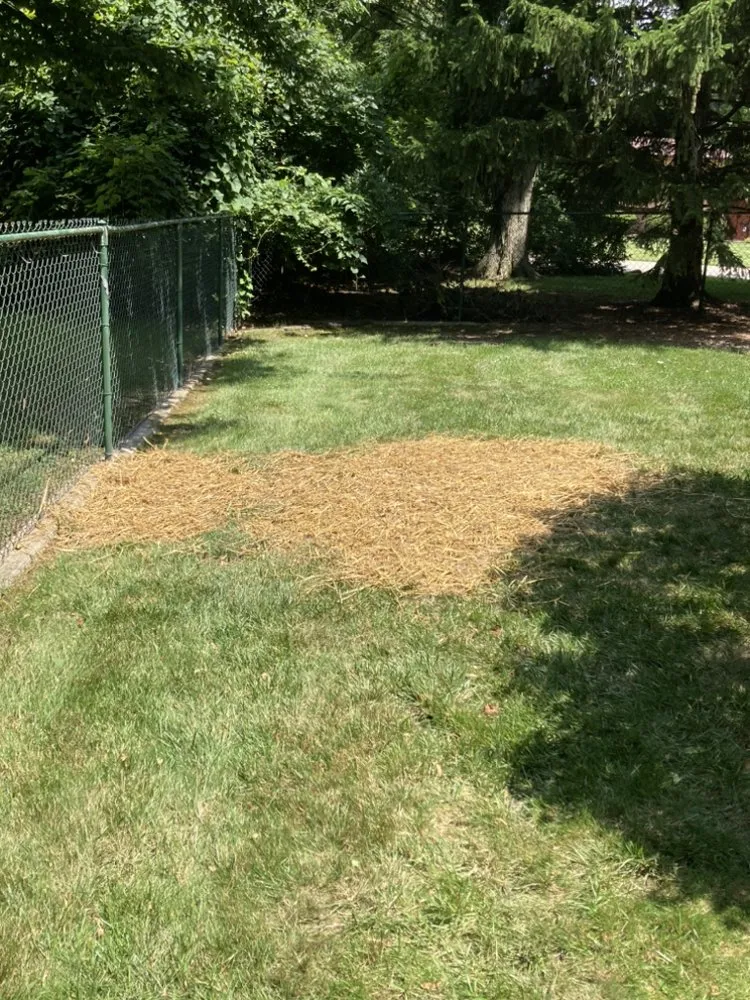 Custom landscape design in Miamisburg, OH by CR&K Landscaping