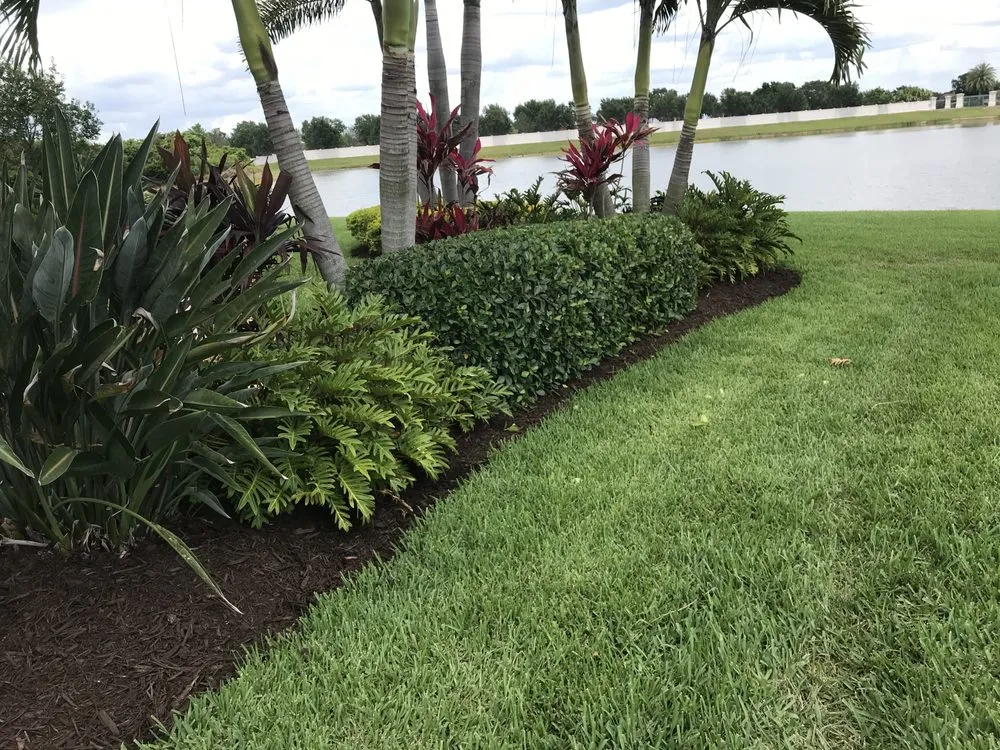Custom landscape installation for year-round maintenance in Ruskin, FL by CRM Landscaping