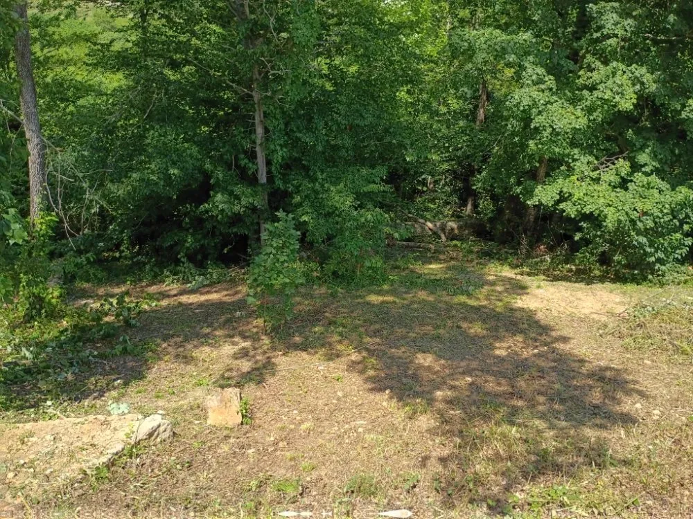 Custom yard maintenance for beautiful yards across Tazewell, TN - Crockett Lawn Care