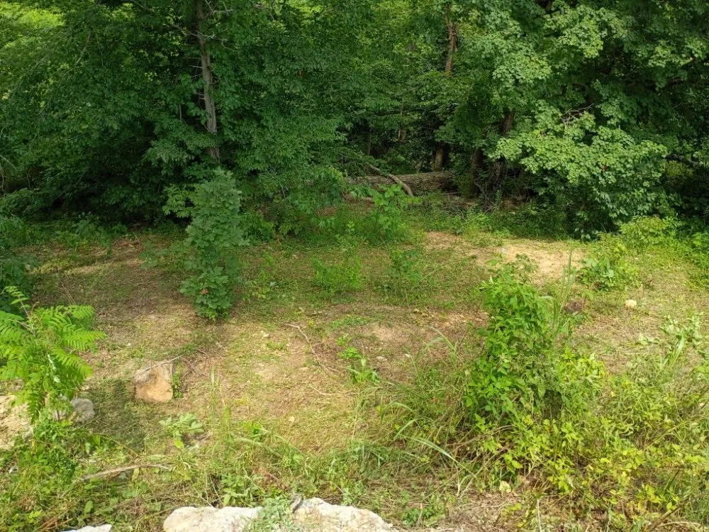 Expert garden landscaping for outdoor upgrades across Tazewell, TN - Crockett Lawn Care