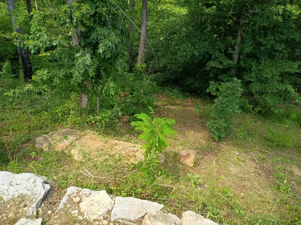 Local residential landscaping experts serving Tazewell, TN - Crockett Lawn Care