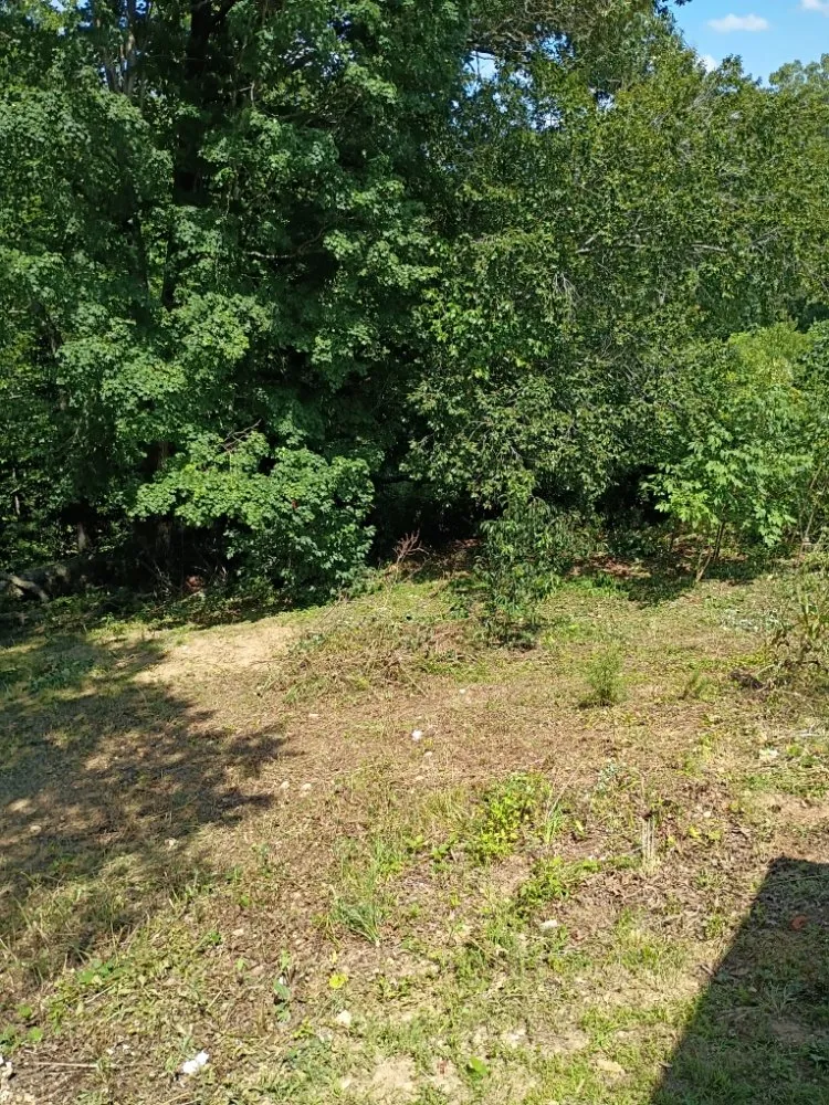 Top-rated yard maintenance in Tazewell, TN - Crockett Lawn Care