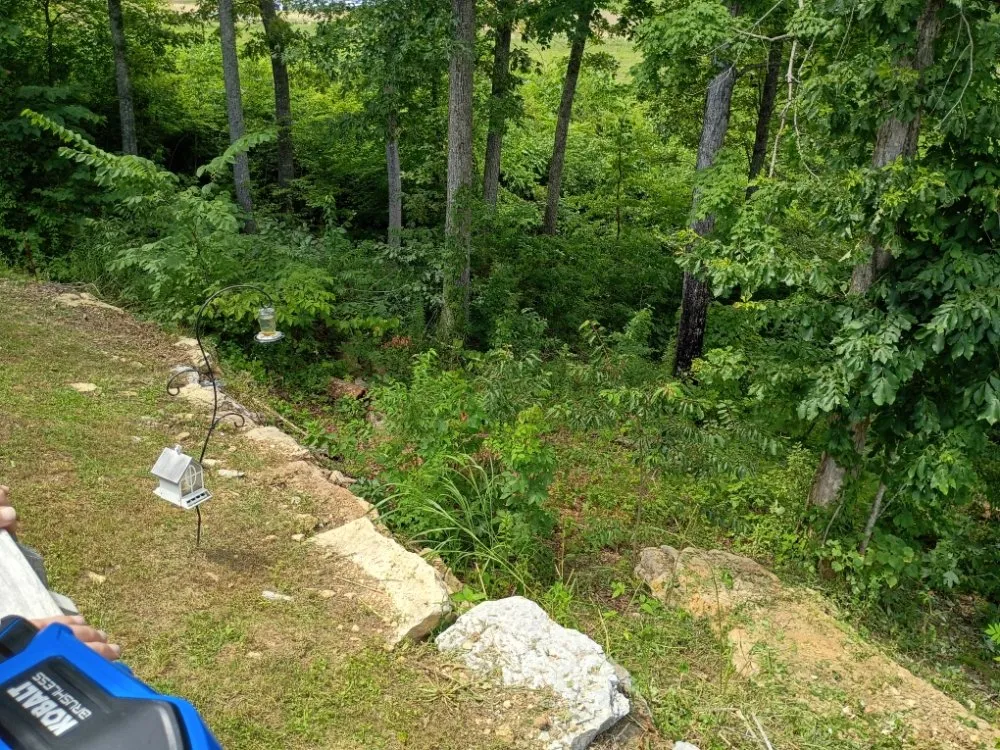 Professional yard maintenance for beautiful yards in Tazewell, TN by Crockett Lawn Care