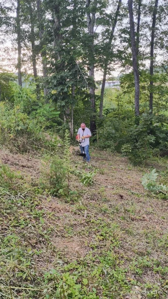 Trusted residential landscaping in Tazewell, TN by Crockett Lawn Care