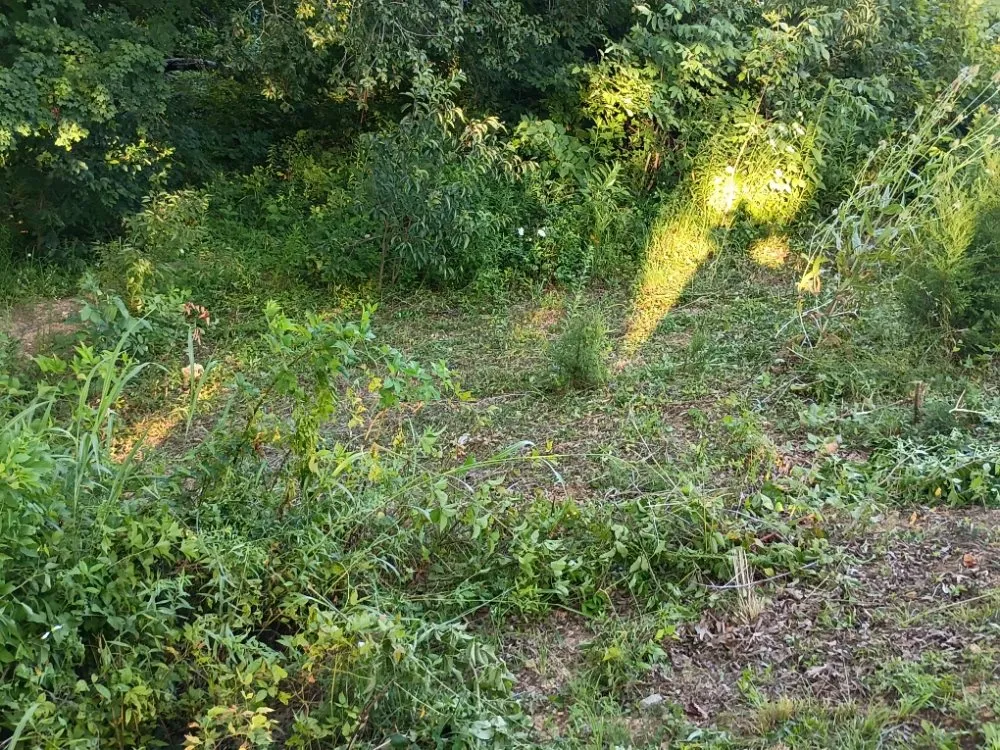 Reliable landscape design in Tazewell, TN by Crockett Lawn Care