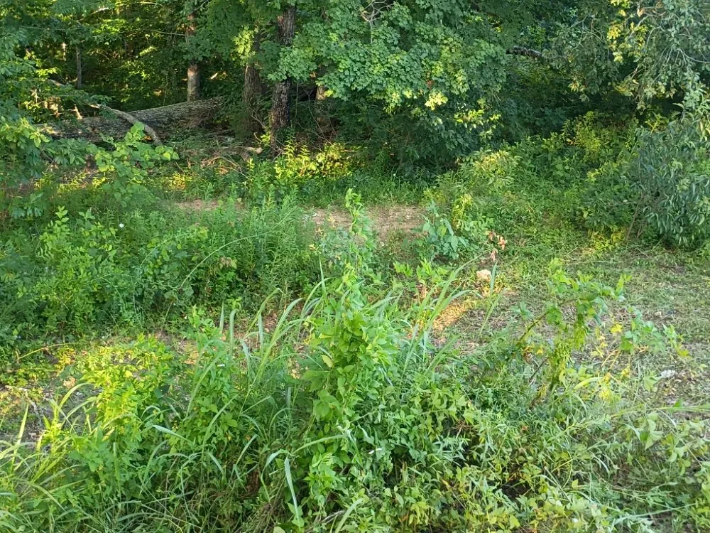 Local residential landscaping with custom design across Tazewell, TN - Crockett Lawn Care