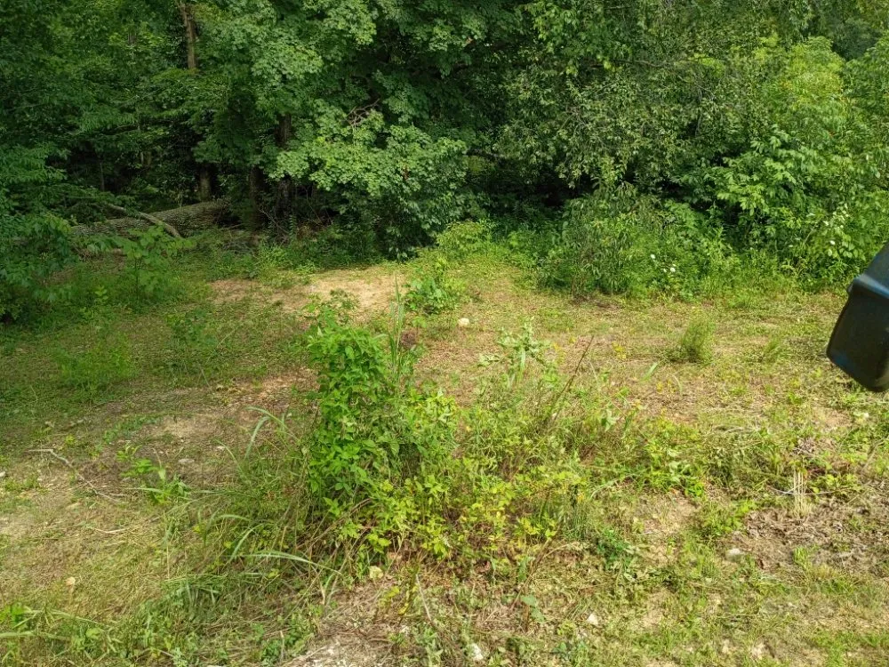 Affordable landscaping services in Tazewell, TN - Crockett Lawn Care