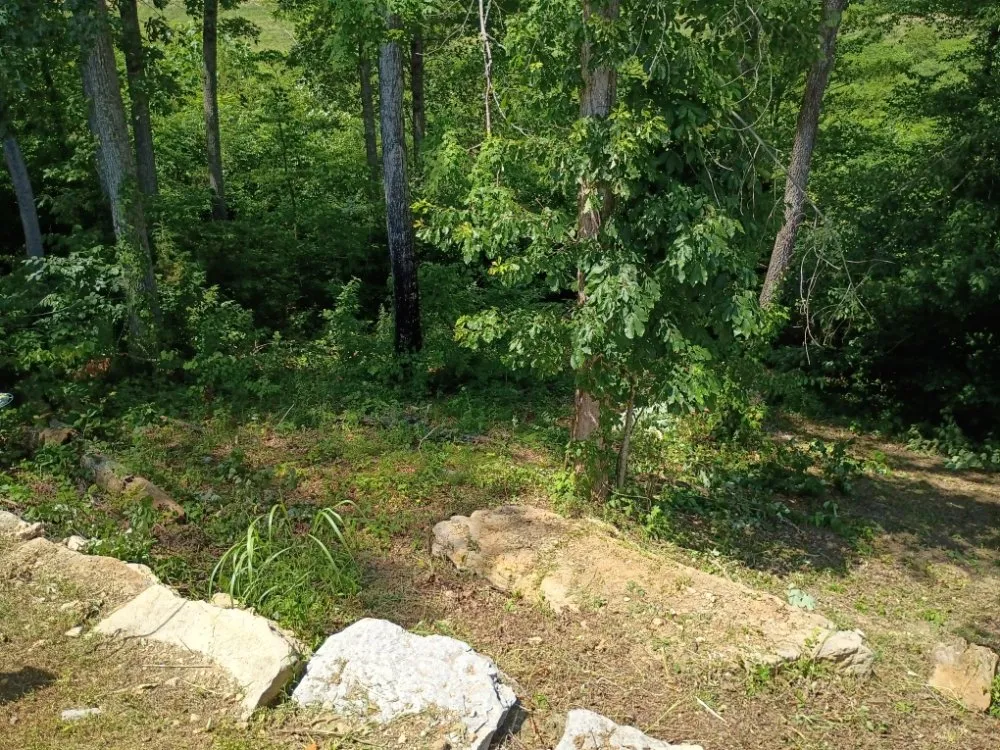 Professional lawn mowing service for beautiful yards in Tazewell, TN by Crockett Lawn Care