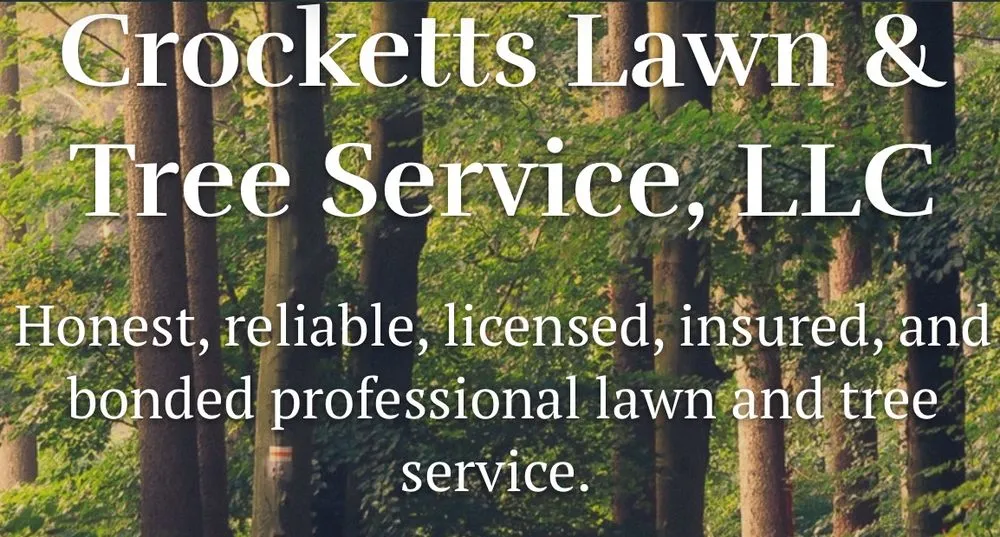 Local yard cleanup service in Strong, AR by Crocketts Lawn & Tree Service