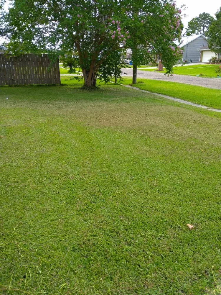 Reliable yard cleanup service for year-round maintenance in Houma, LA by CROD'S Lawn Care & Maintenance