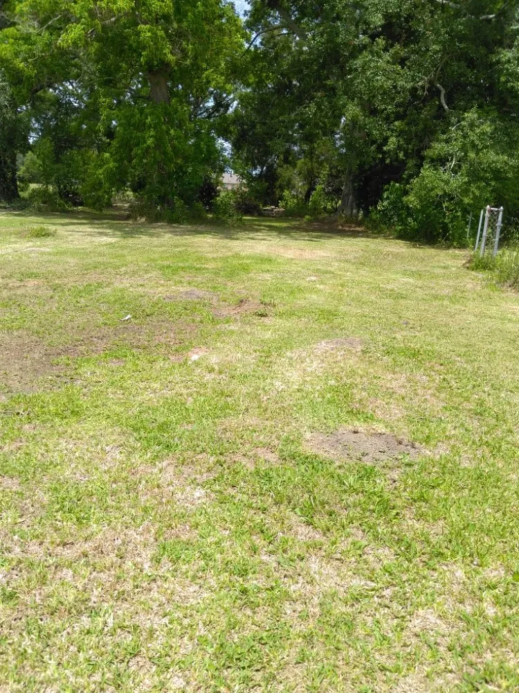 Affordable lawn mowing service for residential properties in Houma, LA by CROD'S Lawn Care & Maintenance