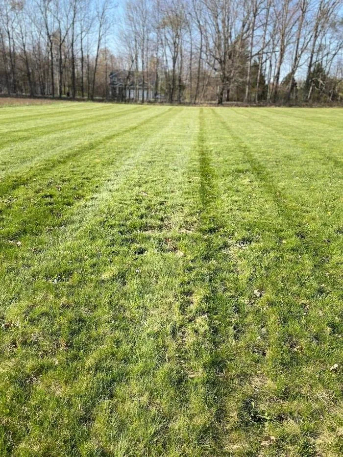 Top-rated yard maintenance in Dansville, MI - Croegaert's Lawn & Landscape