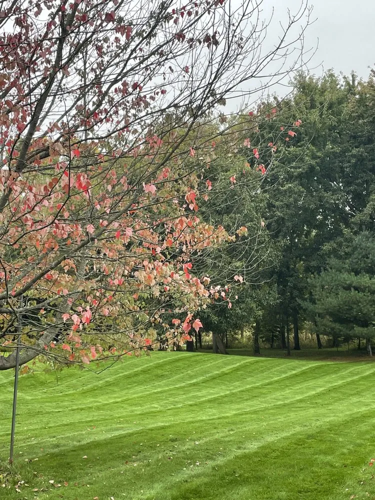 Custom lawn mowing service experts serving Dansville, MI - Croegaert's Lawn & Landscape