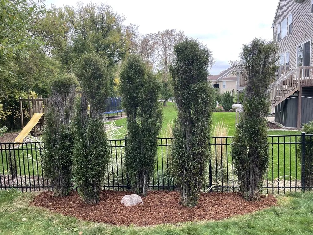 Trusted yard cleanup service near you across Dansville, MI - Croegaert's Lawn & Landscape