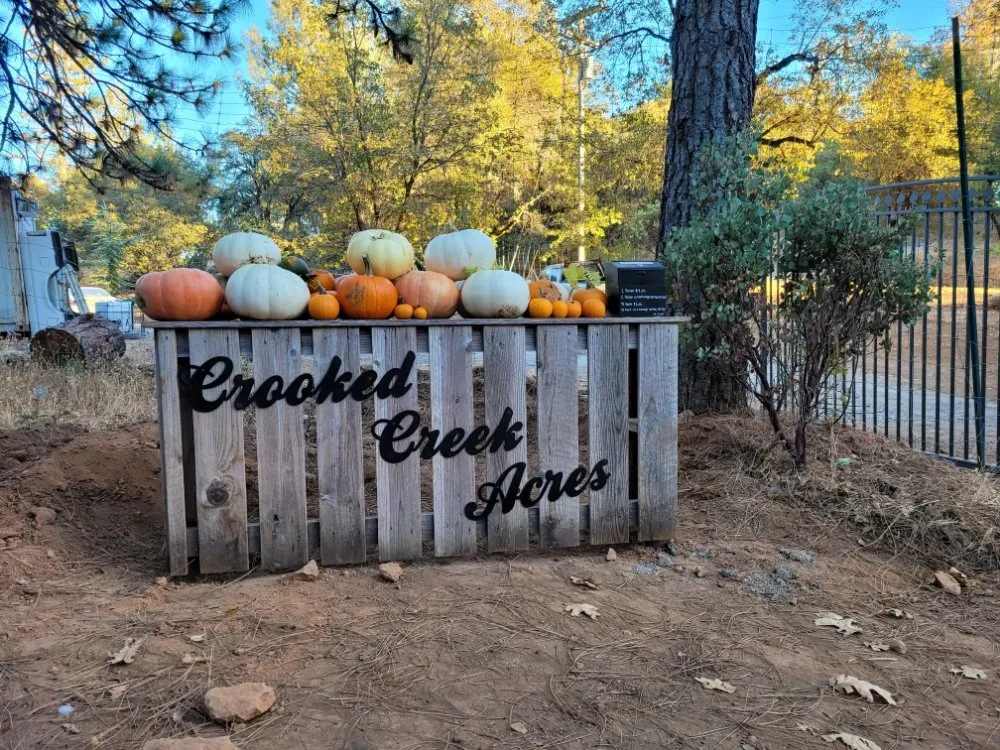 Local yard cleanup service in Colfax, CA - Crooked Creek Acres