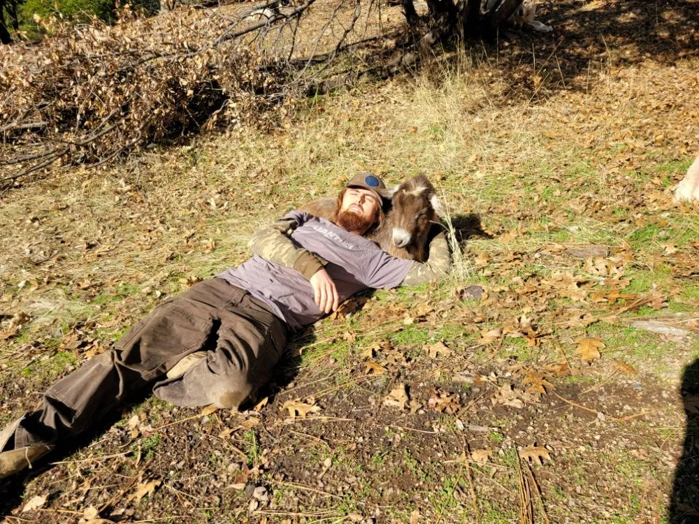 Trusted outdoor landscaping with custom design across Colfax, CA - Crooked Creek Acres