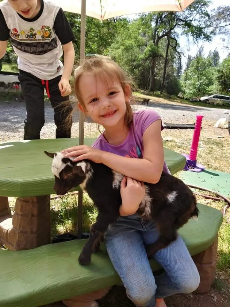 Reliable yard cleanup service experts serving Colfax, CA - Crooked Creek Acres