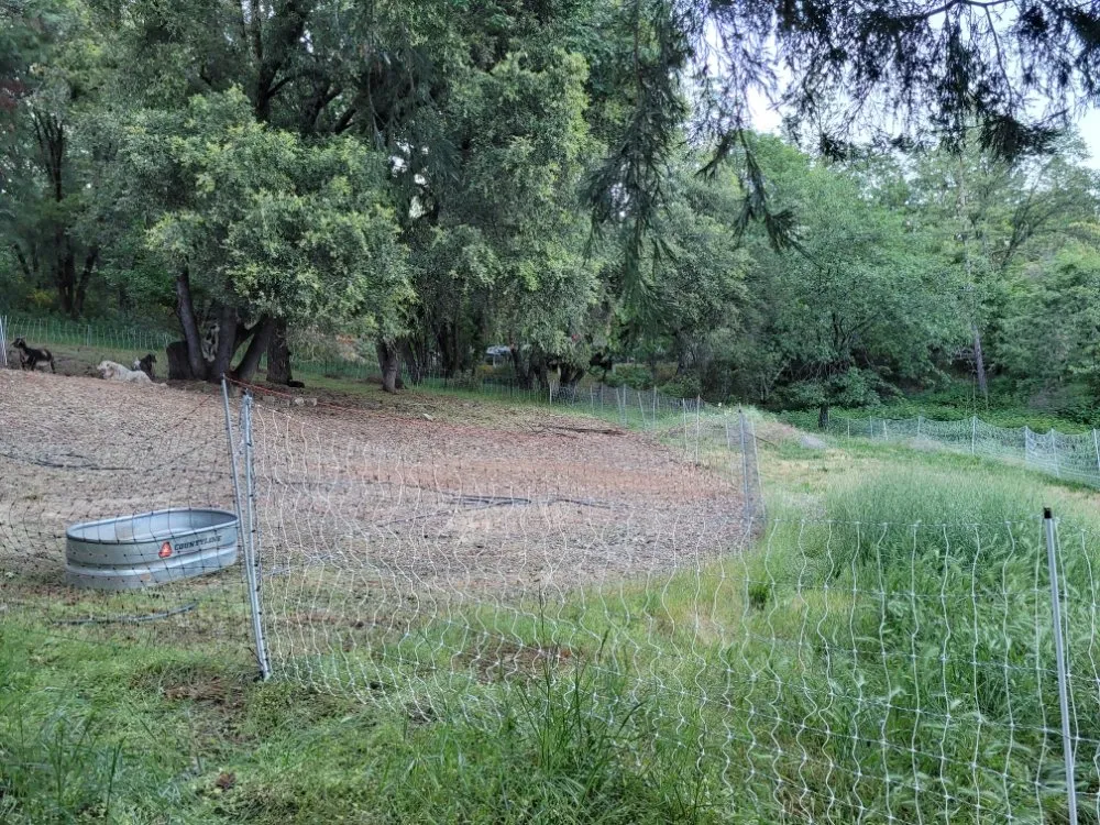 Reliable landscape design for outdoor upgrades in Colfax, CA by Crooked Creek Acres