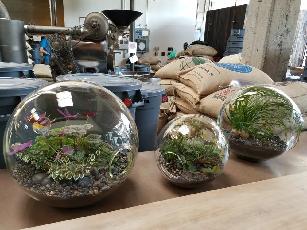 Reliable landscaping services in Oakland, CA by Crooked Nest