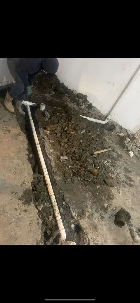 Local yard cleanup service in Detroit, MI by Croon Contracting