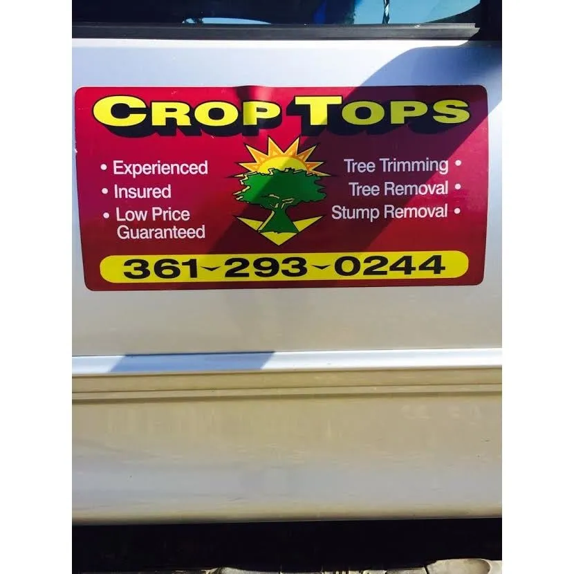 Custom yard cleanup service in Yoakum, TX by Crop Tops Trimming Tree Service
