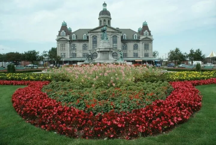 Affordable landscaping services for residential properties across Yoakum, TX - Crop Tops Trimming Tree Service