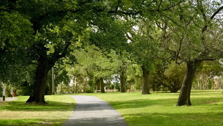 Professional lawn mowing service in Yoakum, TX - Crop Tops Trimming Tree Service