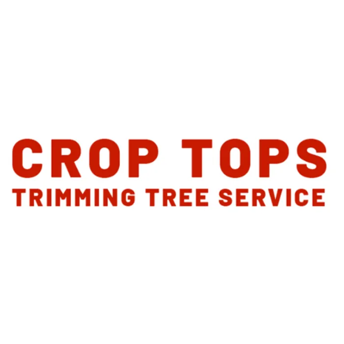 Custom landscape installation experts serving Yoakum, TX - Crop Tops Trimming Tree Service