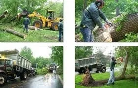 Trusted yard cleanup service for homes in Yoakum, TX by Crop Tops Trimming Tree Service