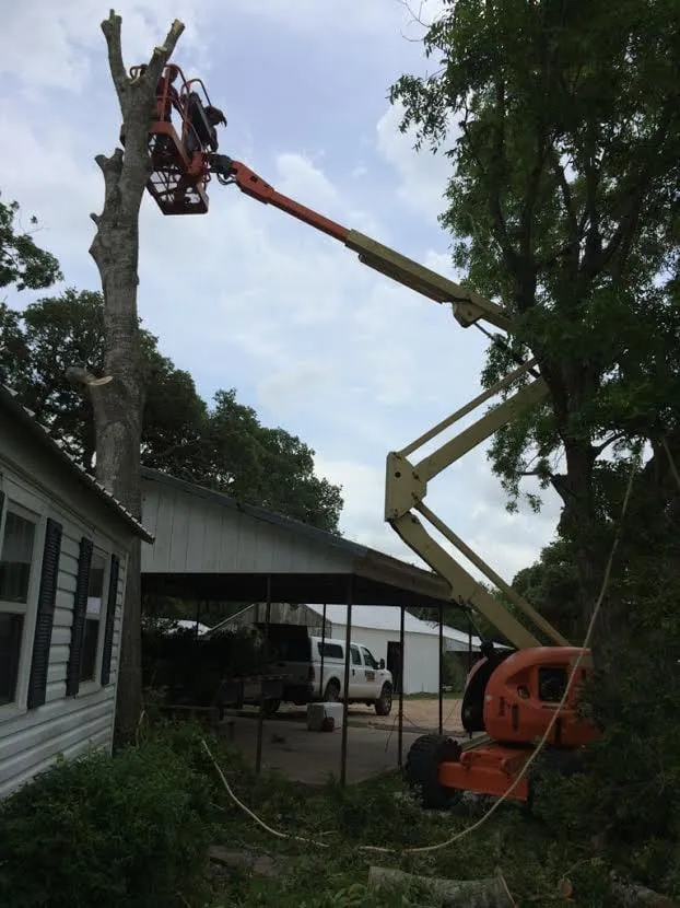 Top-rated landscape design with custom design across Yoakum, TX - Crop Tops Trimming Tree Service