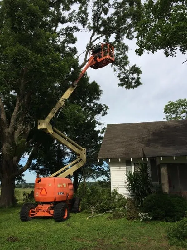 Professional landscape design for beautiful yards across Yoakum, TX - Crop Tops Trimming Tree Service