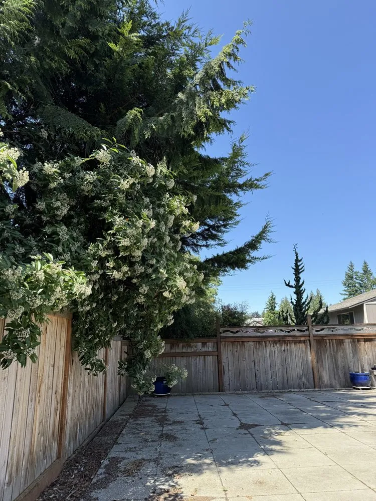 Professional lawn care service in Woodinville, WA - Crosby & Co