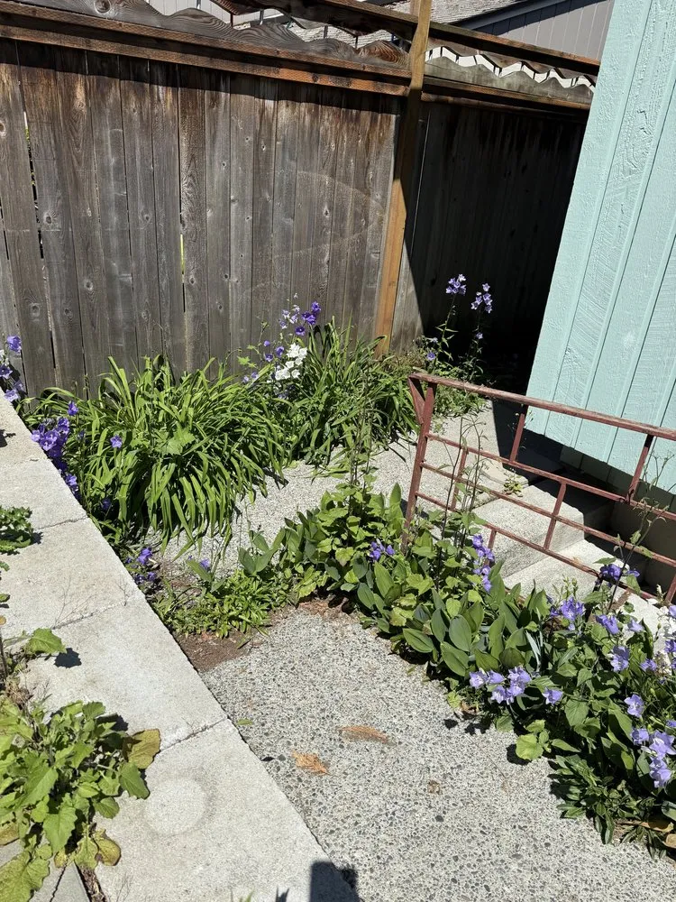 Reliable landscape design in Woodinville, WA - Crosby & Co