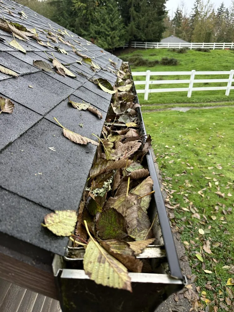 Top-rated landscape installation experts serving Woodinville, WA - Crosby & Co