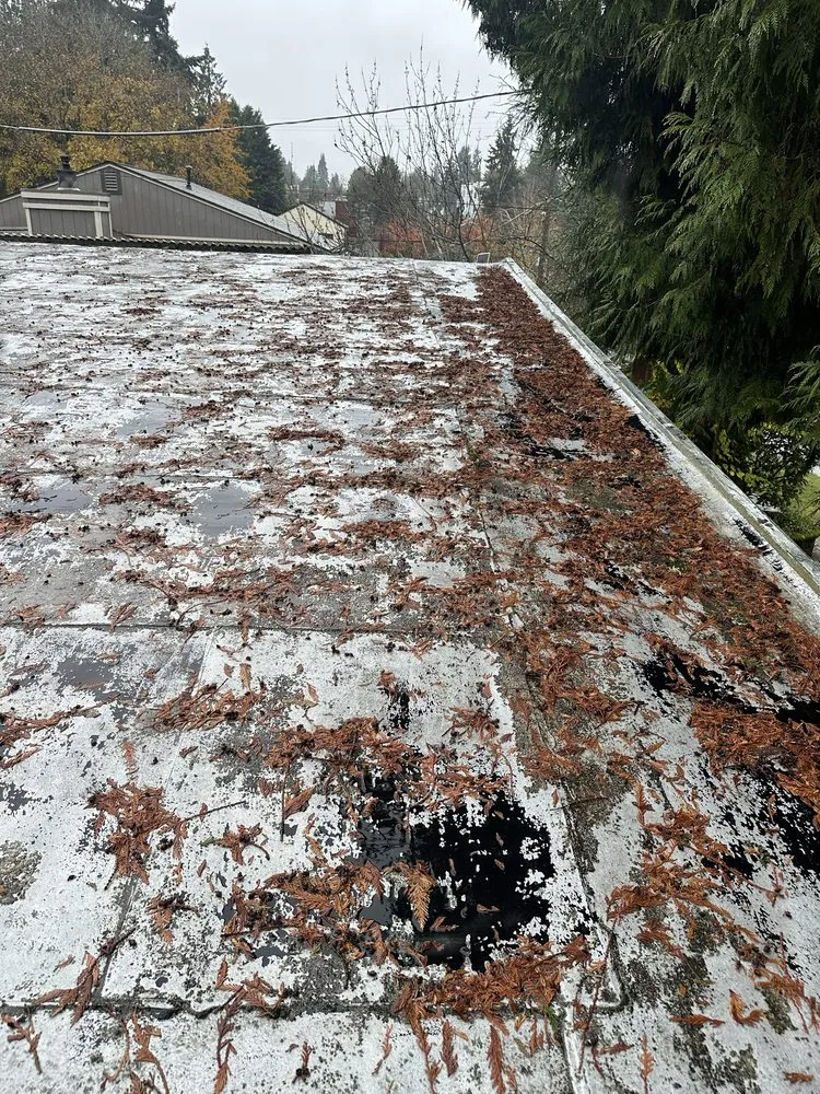 Expert landscape installation for homes in Woodinville, WA by Crosby & Co